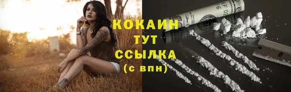 соль курить ск Арсеньев