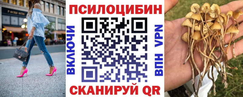 Псилоцибиновые грибы ЛСД  kraken ССЫЛКА  Серов 